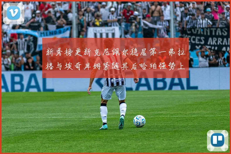新秀榜更新克尼佩尔稳居第一弗拉格与埃奇库姆紧随其后哈珀强势上升至第四位