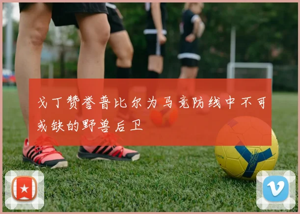 戈丁赞誉普比尔为马竞防线中不可或缺的野兽后卫